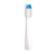 Vivitar Ultrasonic IPX7 Waterproof Electric Toothbrush with Pulsating Head and Germ Protection, 6 Heads Included